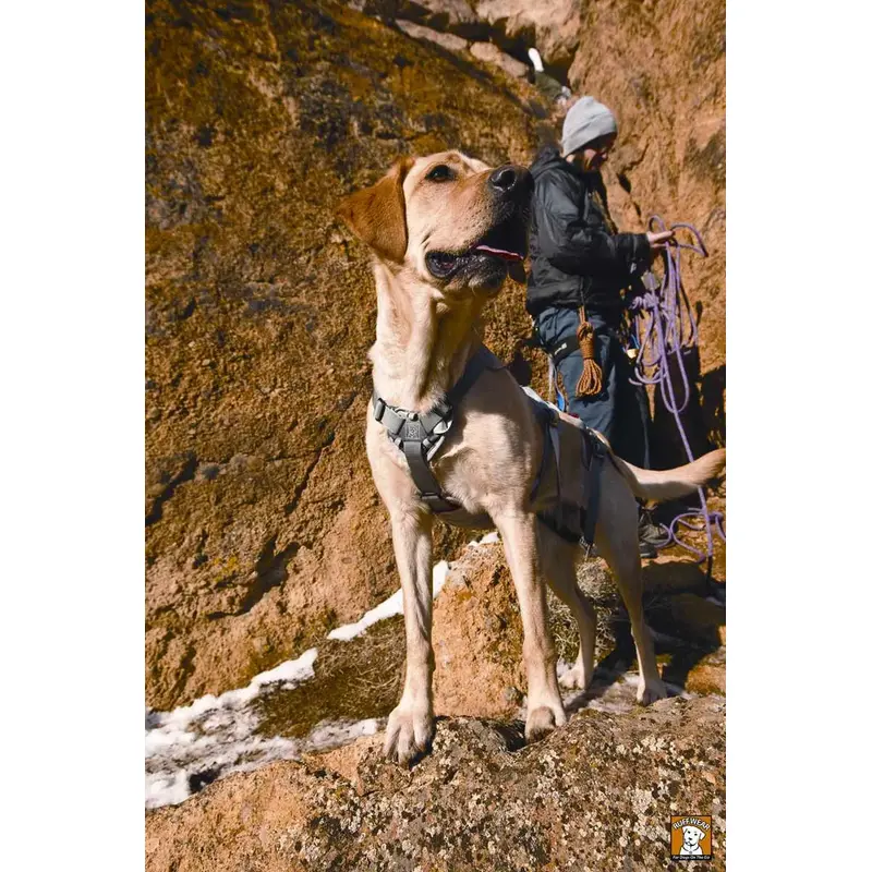 Ruffwear DoubleBack Harness-5