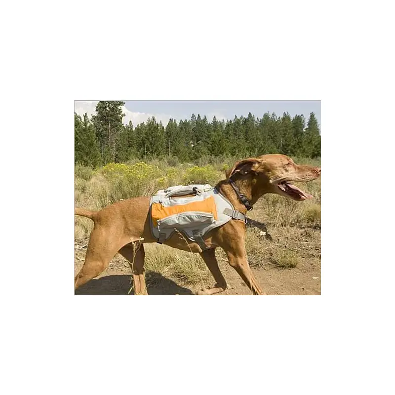 Ruffwear Singletrak Pack-5