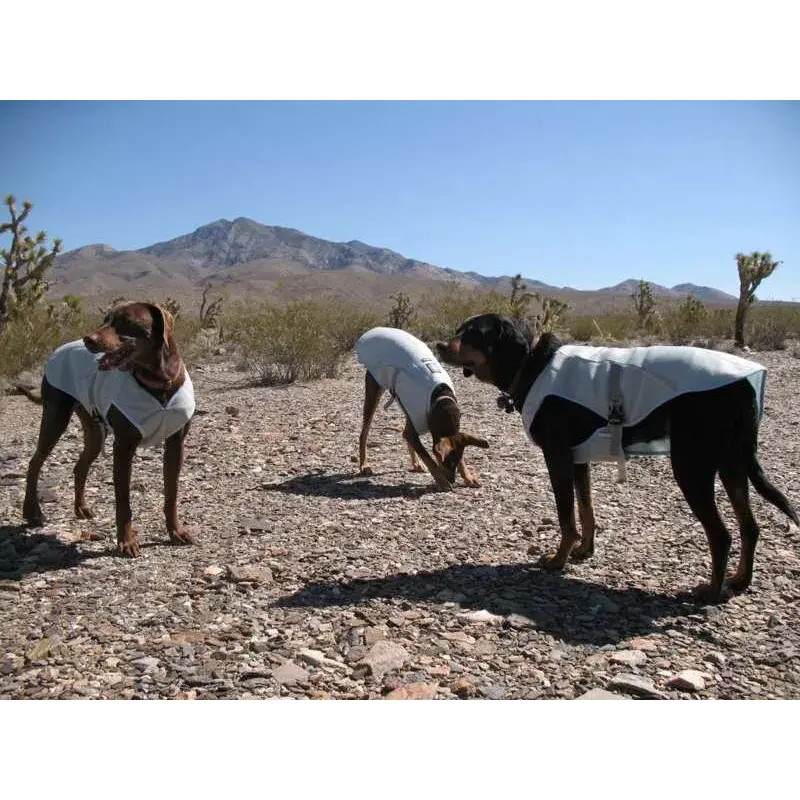 Ruffwear Swamp Cooler Vest-4