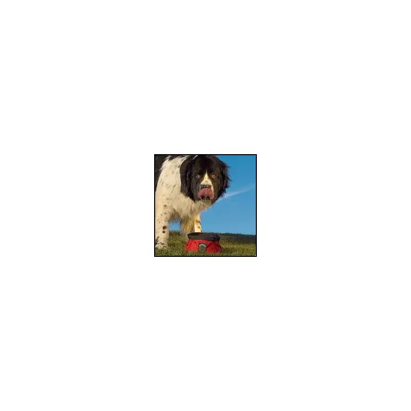 Ruffwear Quencher-3