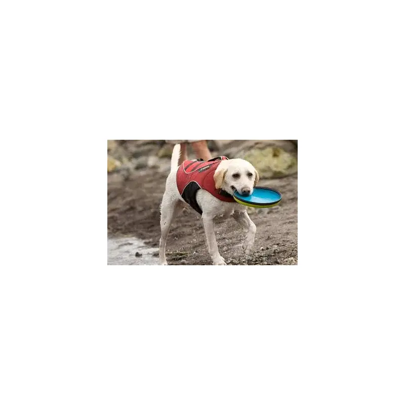 Ruffwear Hover Craft flying disc-2