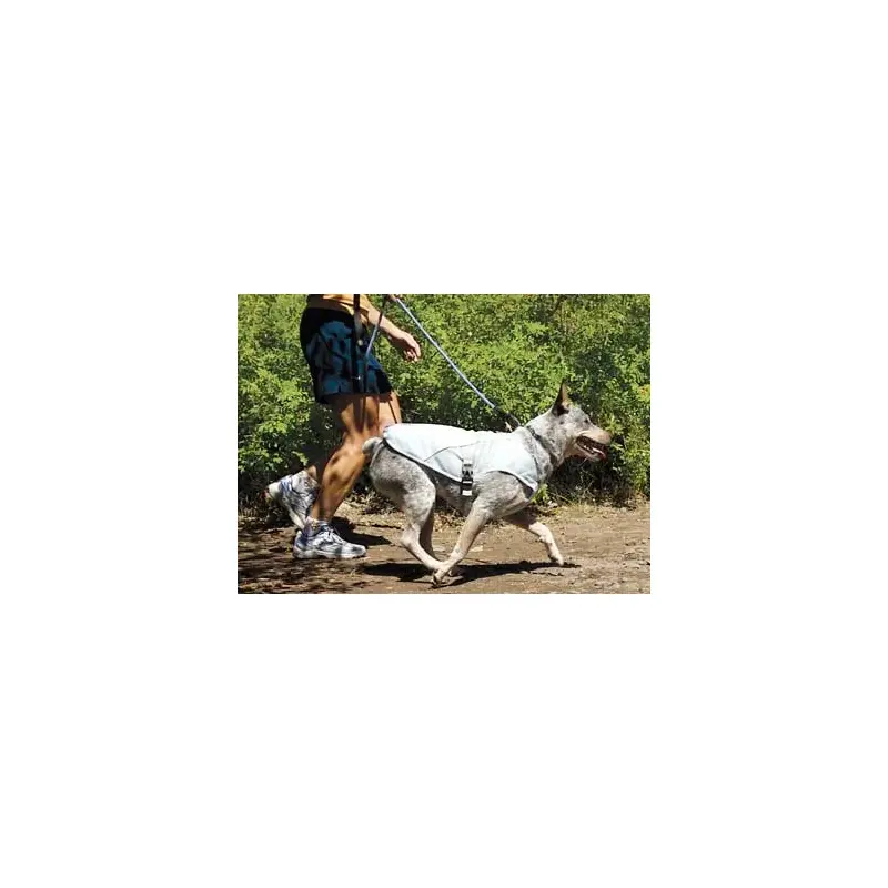 Ruffwear Swamp Cooler Vest-2