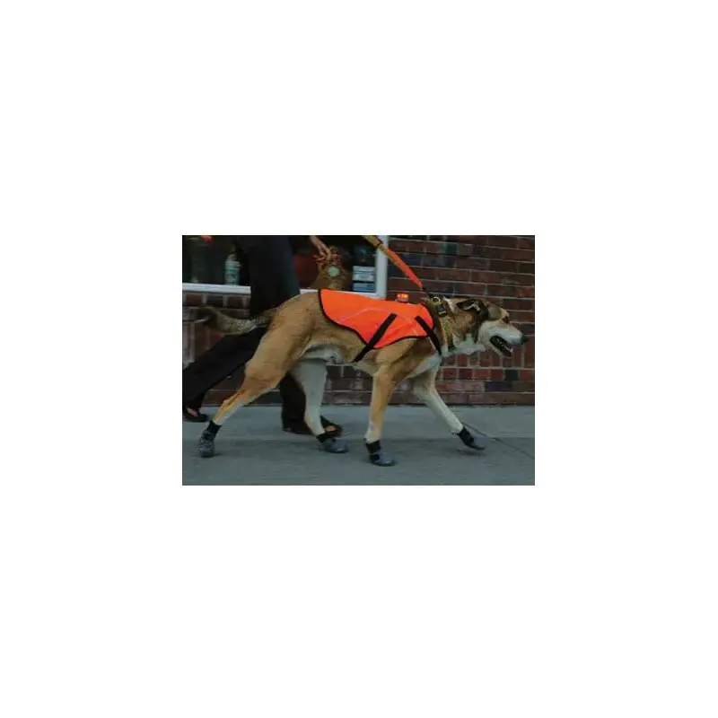 Ruffwear Track Safety Jacket-2
