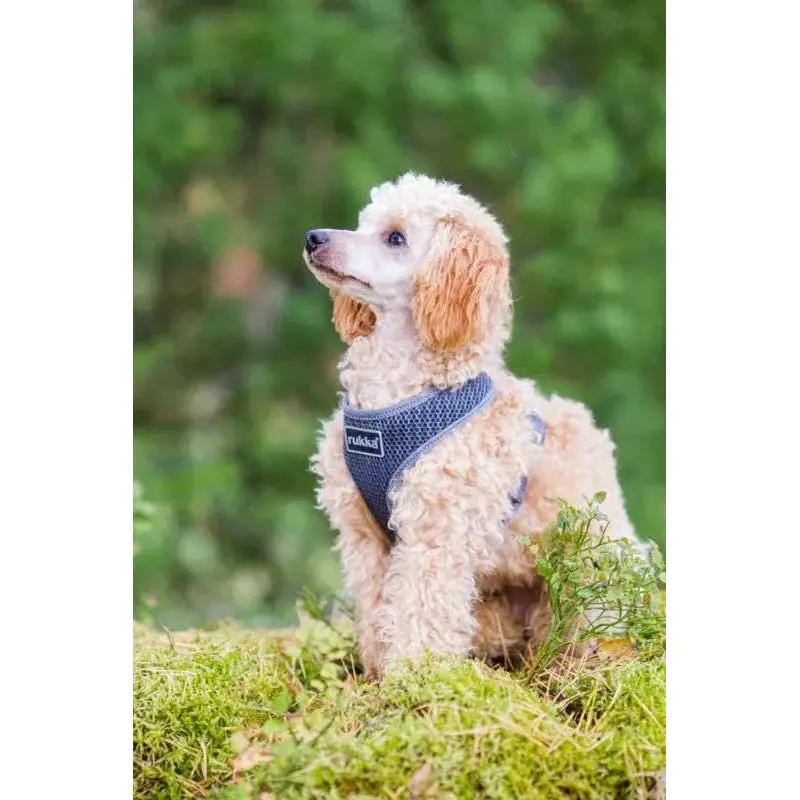 Rukka Pets Comfort Air Dog Harness-3