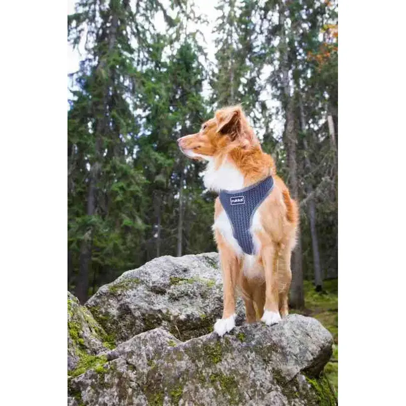 Rukka Pets Comfort Air Dog Harness-4