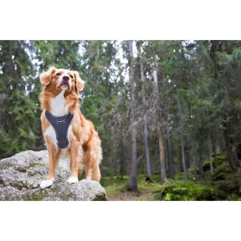 Rukka Pets Comfort Air Dog Harness-5