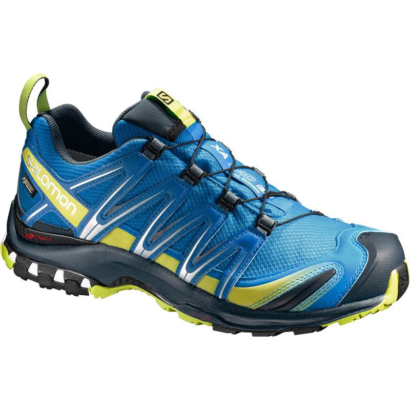 Salomon XA Pro 3D GTX Mens Trail Running Shoes NEW-2