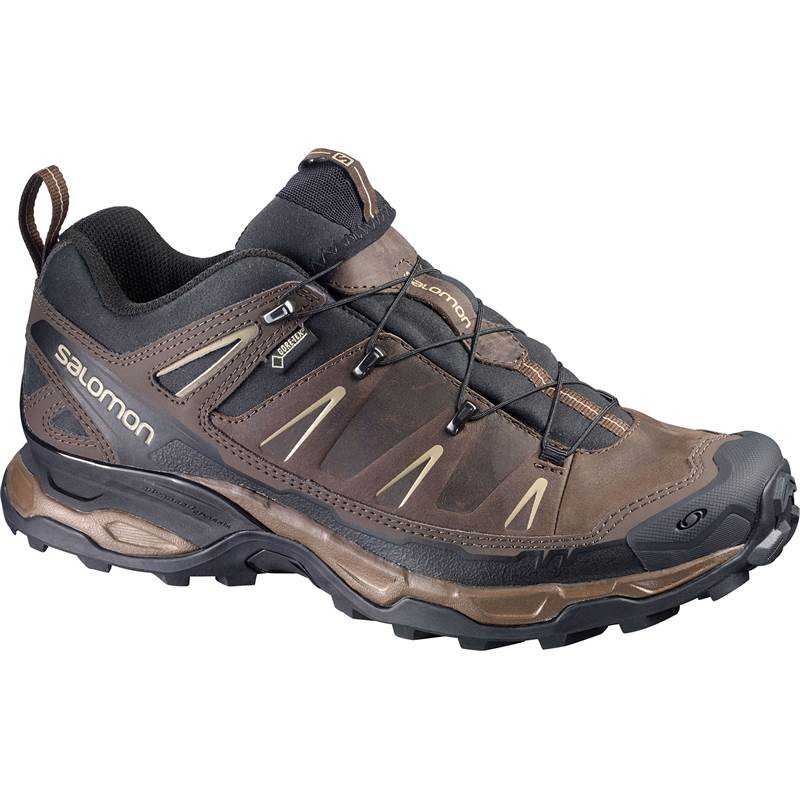 Salomon X Ultra LTR GTX Mens Hiking Shoes-1