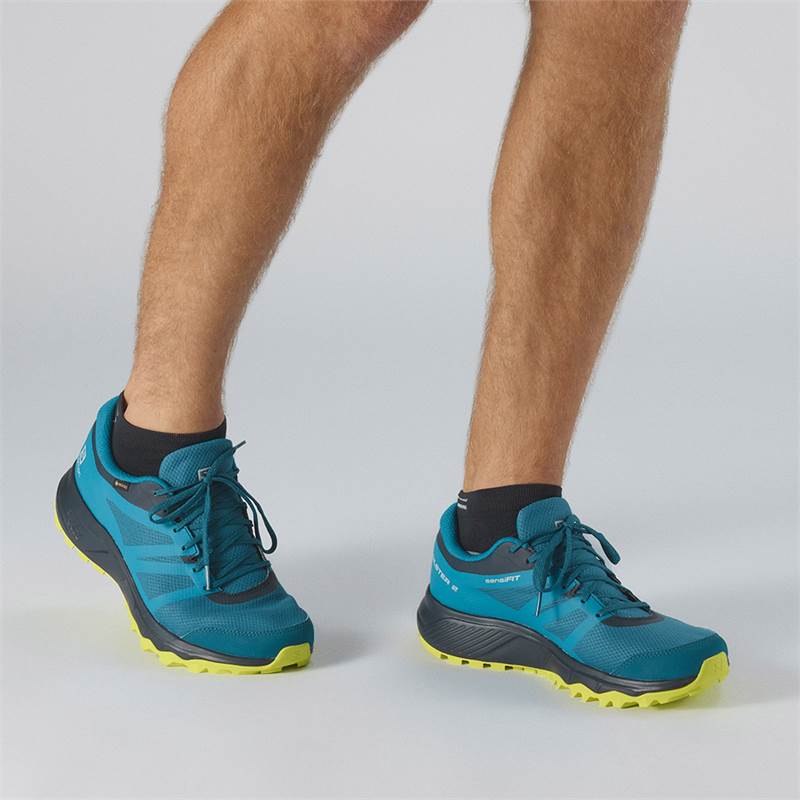 salomon men's trailster 2 gtx