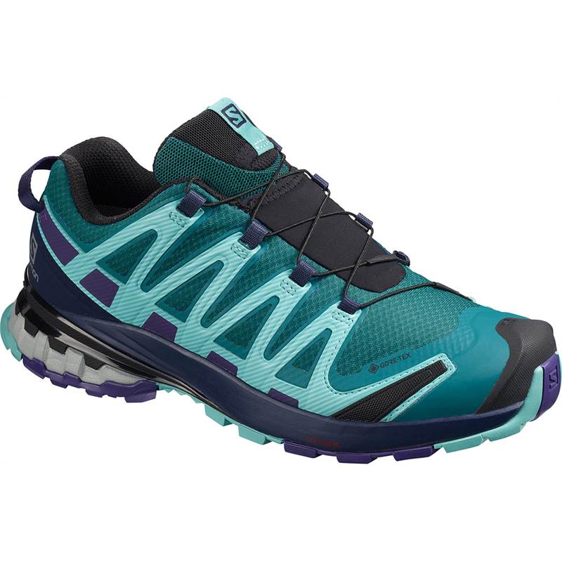 Salomon XA Pro 3D v8 GTX Womens Trail Running Shoes-1