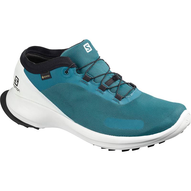 Salomon Sense Feel GTX Mens Running Shoes-1