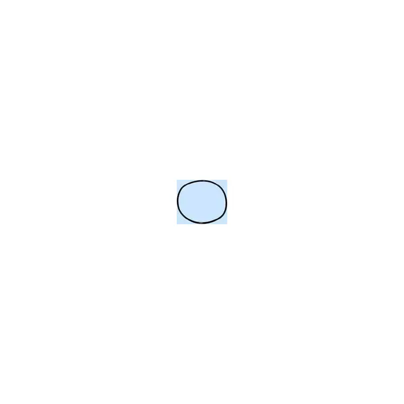 Main O-Ring-2