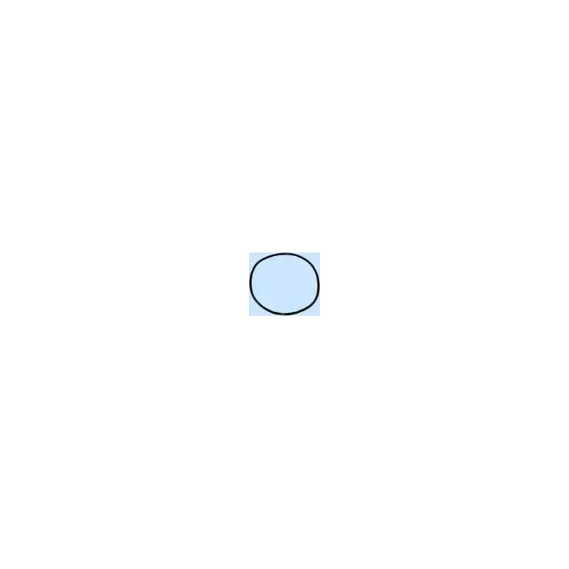 Replacement Main O-Ring for Sealife Cameras-2