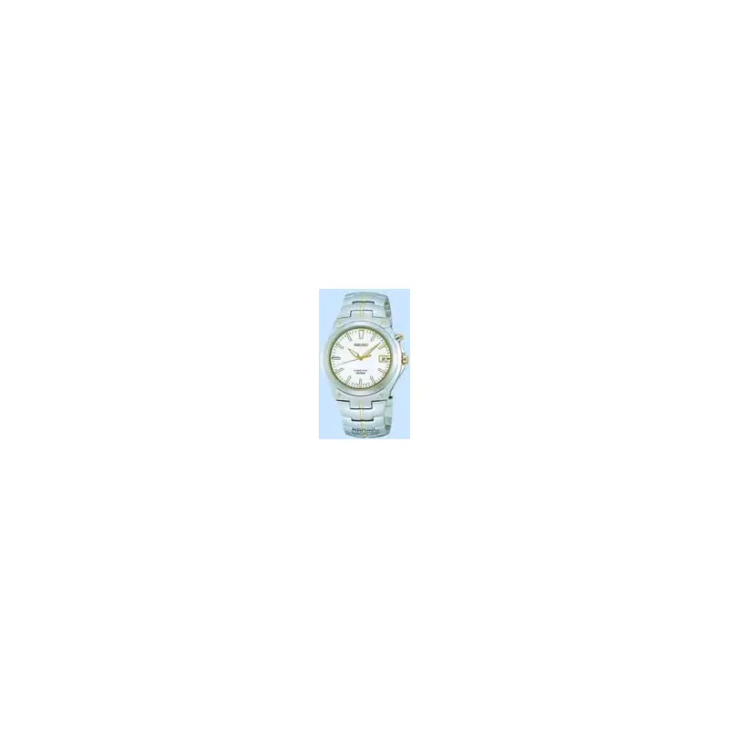 Seiko Kinetic Watch Ska196p1-2