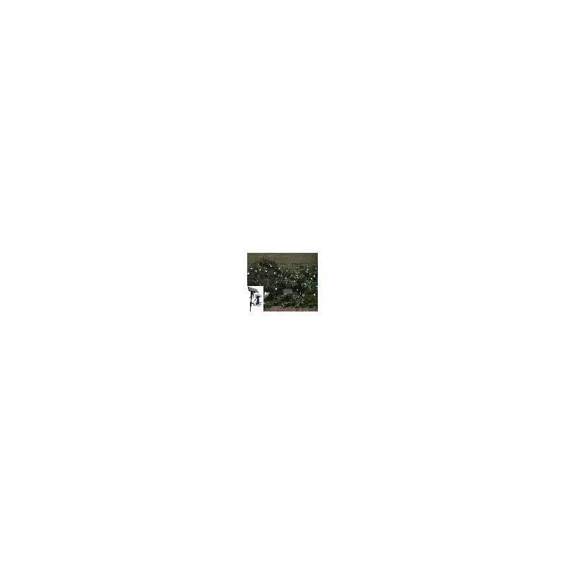 Solar Powered White Star Light String 50 LEDS-2