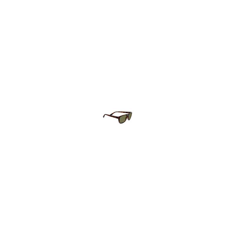Serengeti Tommaso Sunglasses-2