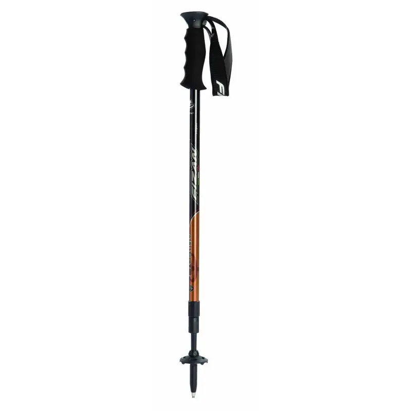 Fizan Prestige Trekking Pole-3