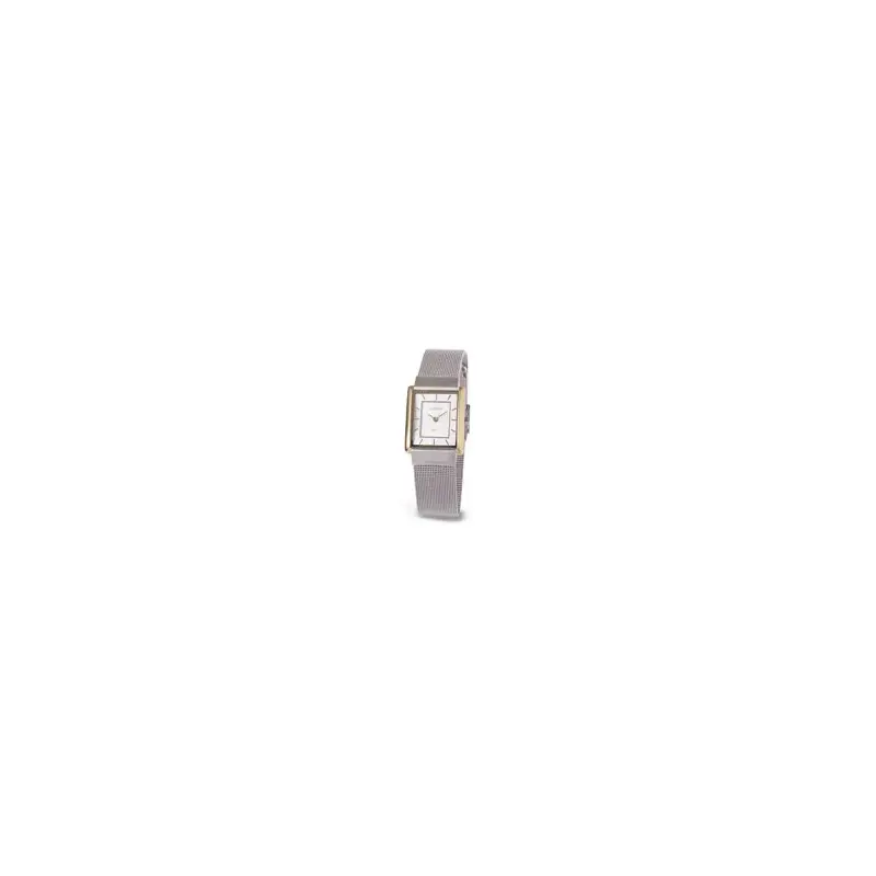 Skagen Ladies Watch 224sgs-2
