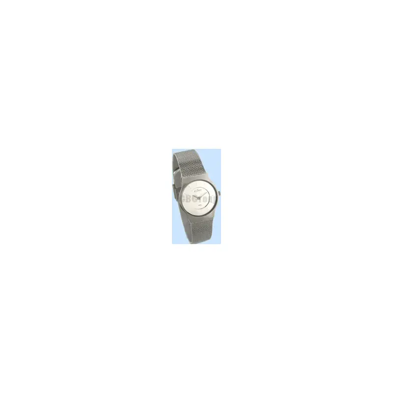 Skagen Ladies' Steel Watch 233sss-2