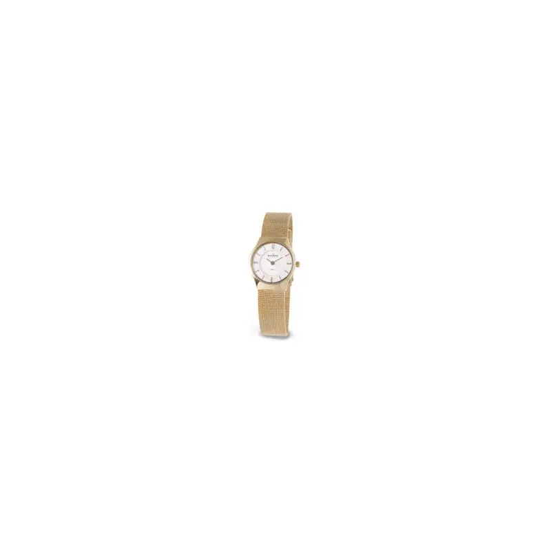 Skagen 233xsgg Ladies' Steel Watch-2