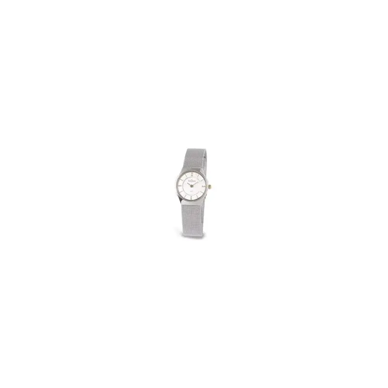 Skagen 233xsgsc Ladies' Steel Watch-2