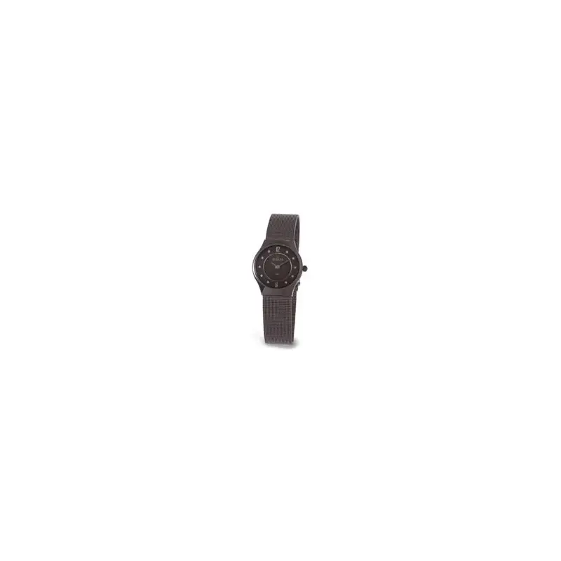 Skagen 233xsmm Ladies' Steel Watch-2