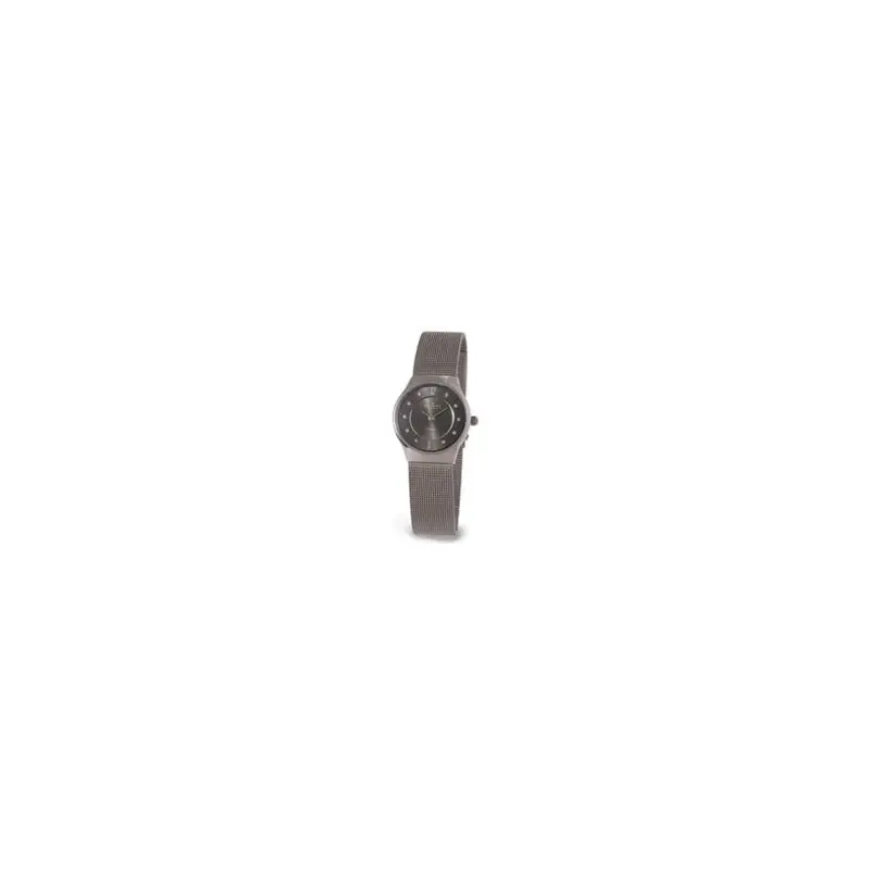 Skagen Ladies' Titanium Watch SK233XSTTM-2