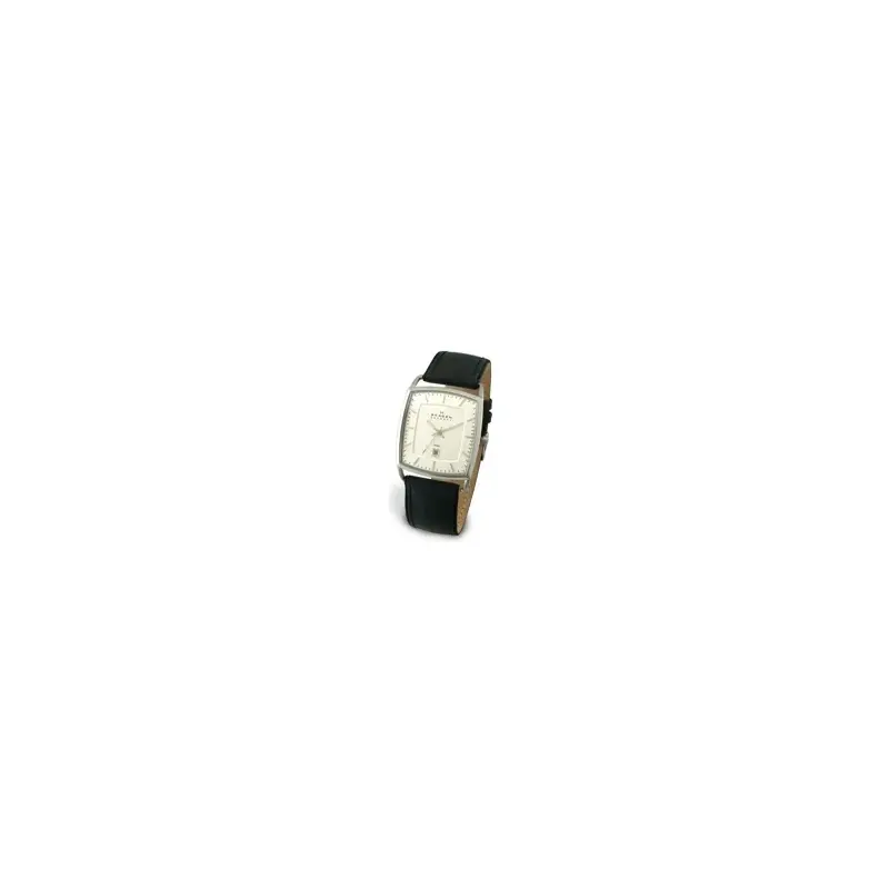 Skagen 243LSLC Gents' Leather Watch-2