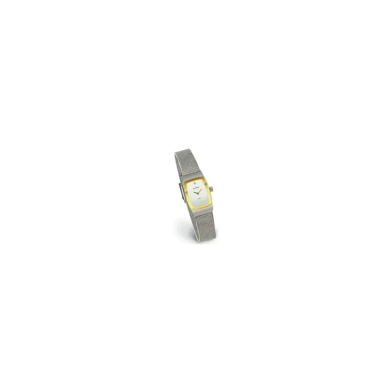 Skagen 271SGSC Ladies' Steel Watch-2