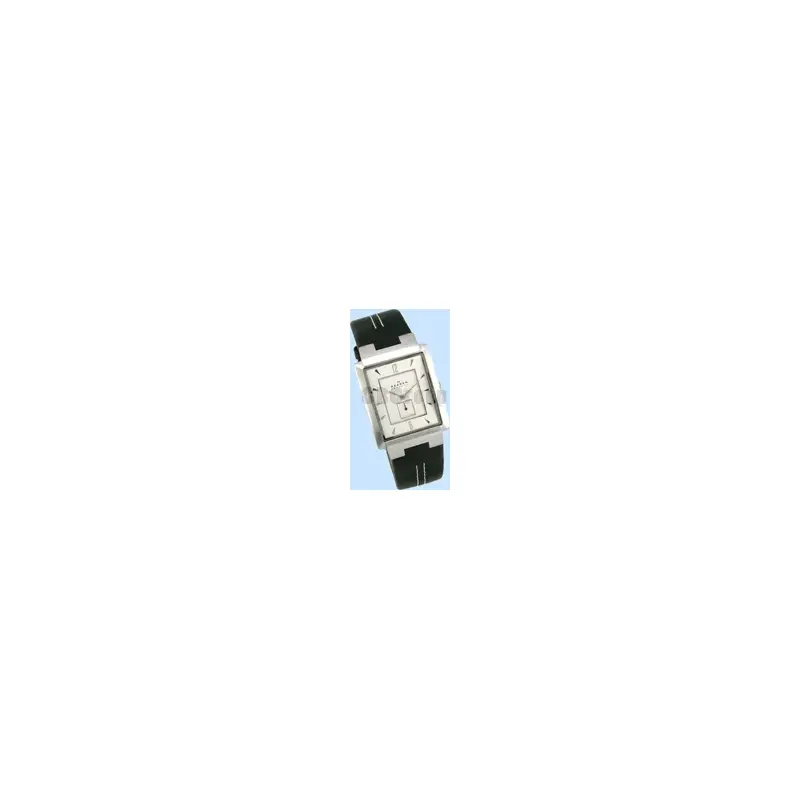 Skagen Steel Watch 324lslc-2