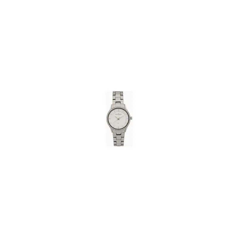 Skagen 347SSX Ladies' Steel Watch-2