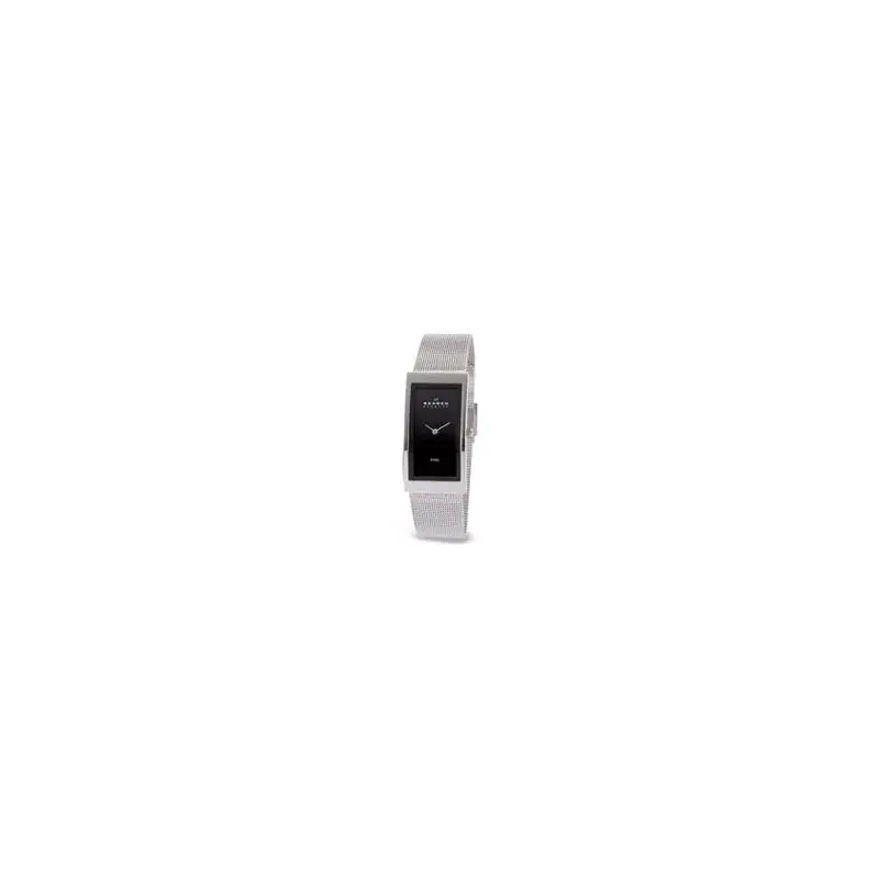 Skagen Steel Watch SK359USSB-2