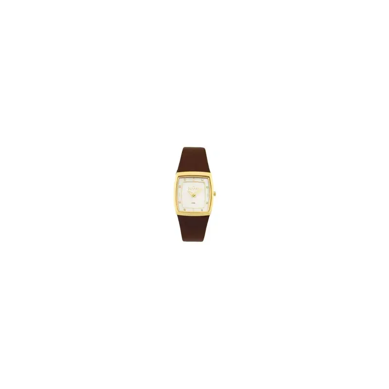 Skagen 380SGLM Ladies' Leather Watch-2