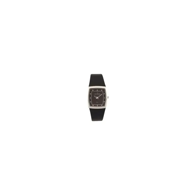 Skagen 380SSLBB Ladies' Leather Watch-2