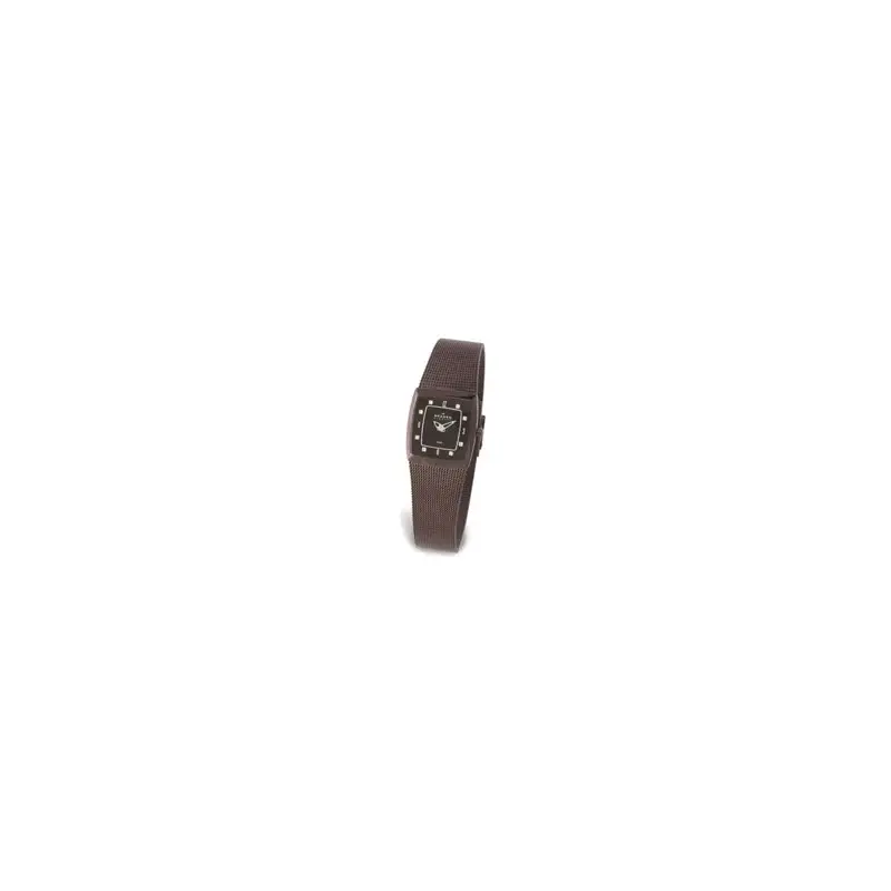 Skagen 380XSMM1 Ladies' Steel Watch-2