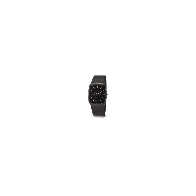 Skagen 396ltmb Gents Titanium Watch-2