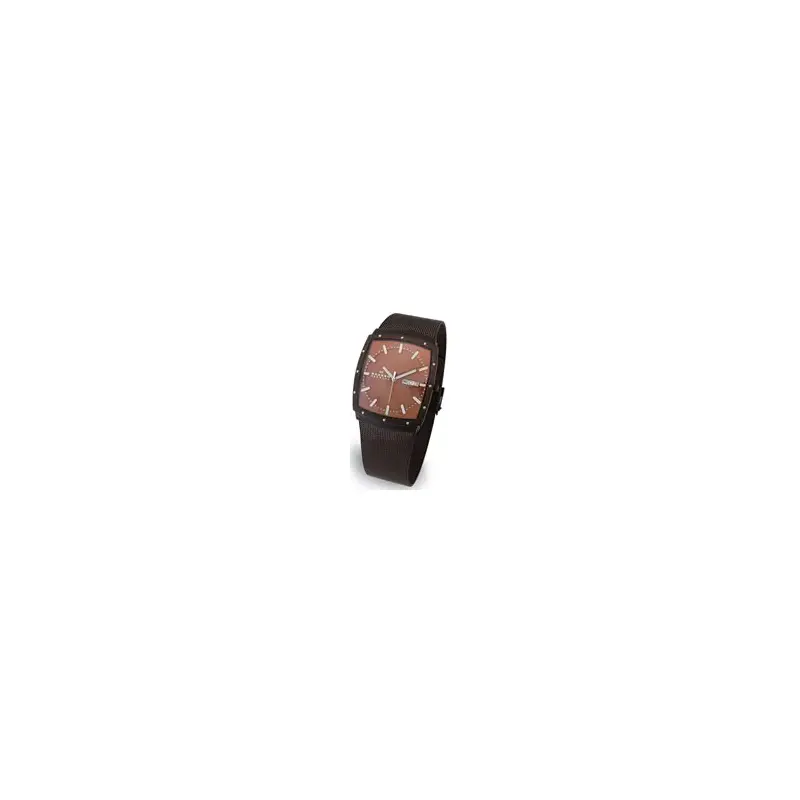 Skagen 396LTMD Gents' Titanium Watch-2