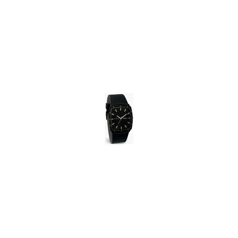 Skagen 396LTMLB Gents' Titanium Watch-2