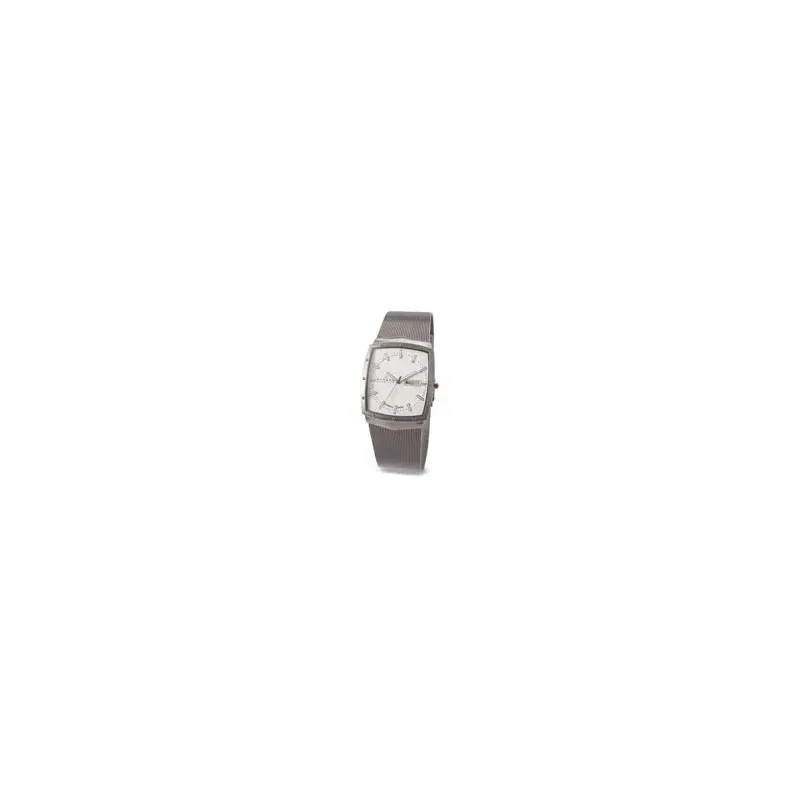 Skagen Gents' Titanium Watch SK396LTTW-2