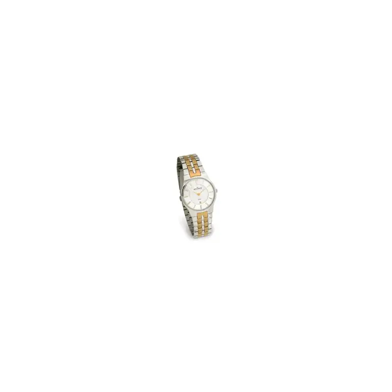 Skagen 433SGX Ladies' Steel Watch-2