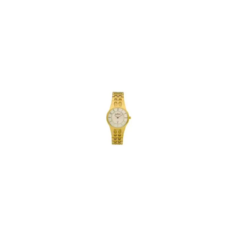 Skagen 433SGXG Ladies' Steel Watch-2