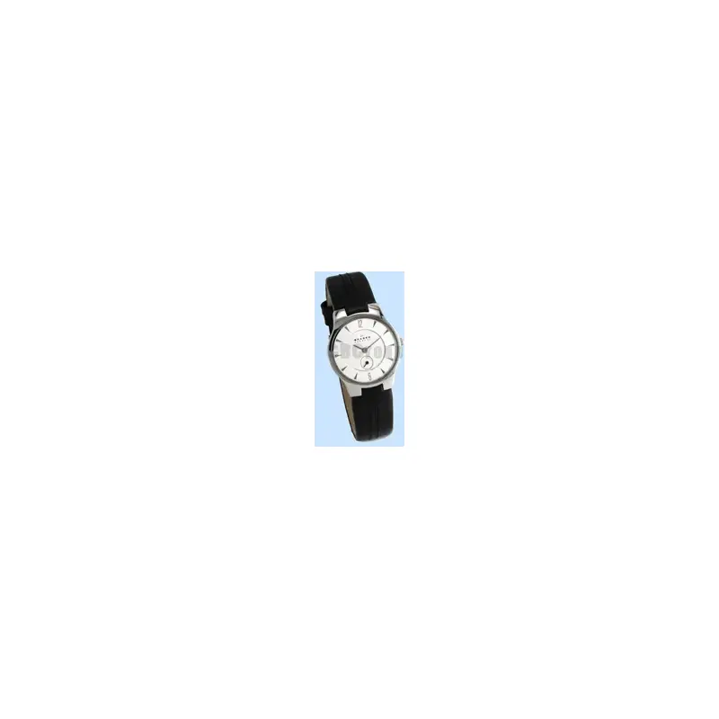 Skagen Ladies Leather Watch 433sslc-2