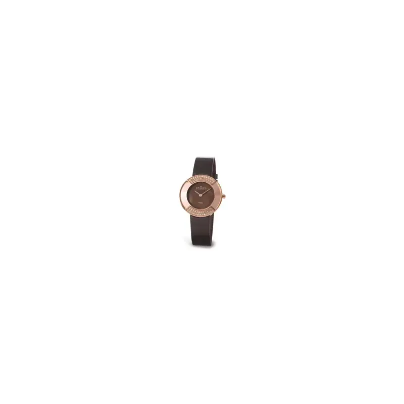 Skagen Titanium Watch 669STRLD-2