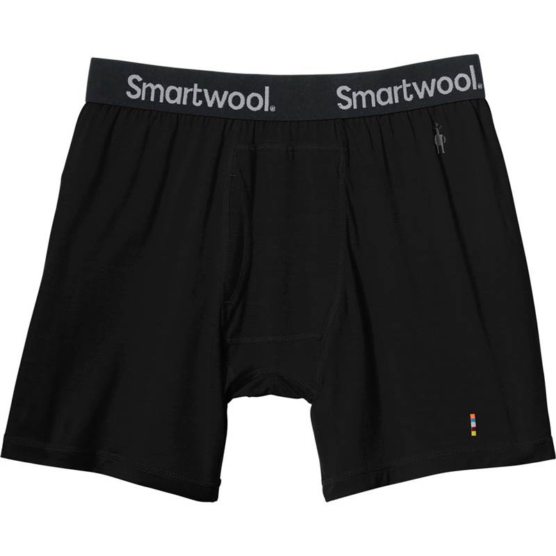 Smartwool Mens Merino 150 Boxer Brief-1