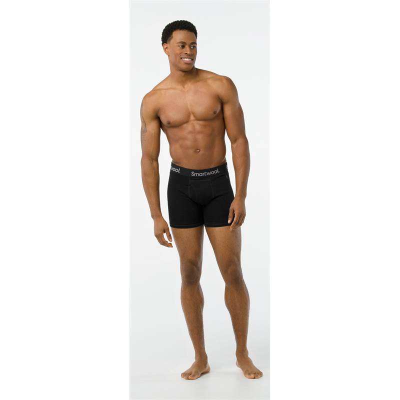 Smartwool Mens Merino 150 Boxer Brief-3