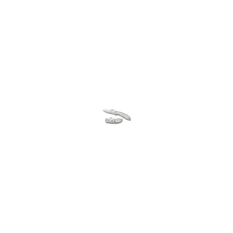 Spyderco Delica 4 Stainless Steel Folding Knife C11-3