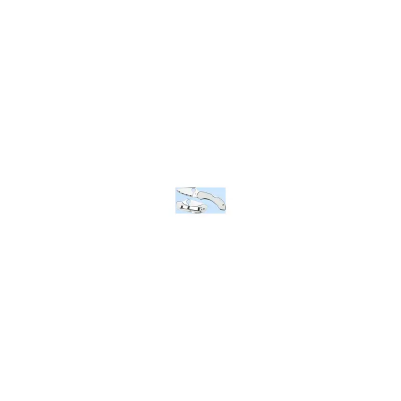 Spyderco Dragonfly Stainless Steel Folding Knife C28-2