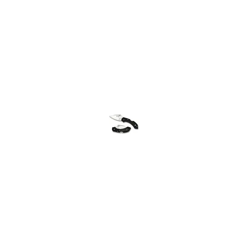 Spyderco Dragonfly2 C28BK2 Folding Knife-2