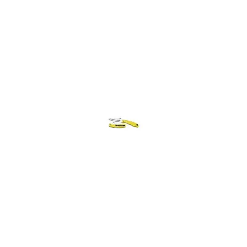 Spyderco Pacific Salt Folding Knife C91yl-2