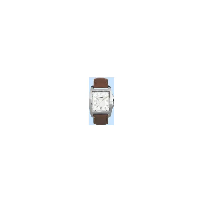 Timex Gents Watch T29371-2